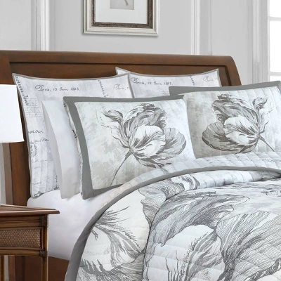 Standard Merian Tulip Sham Gray/White - New York Botanical Garden 1 Standard Merian Tulip Sham Gray/White - New York Botanical Garden